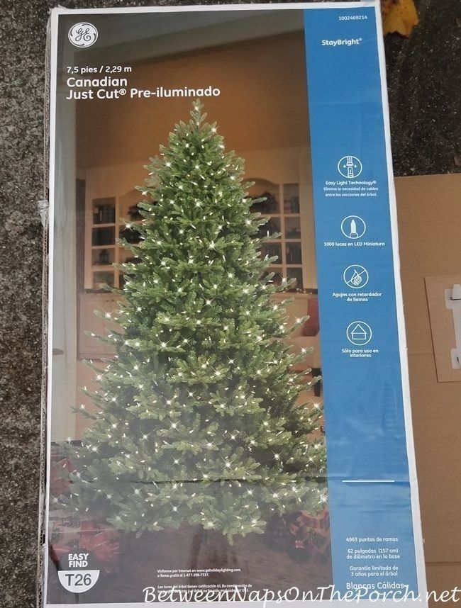 Little Ge Christmas Tree Project Isabella