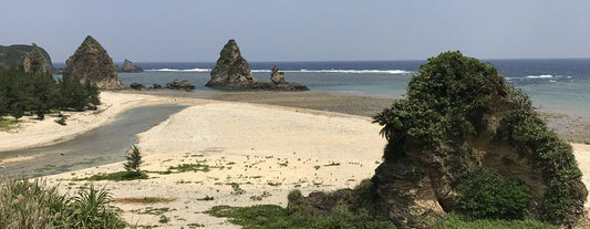 Beachcombing Destination: Okinawa