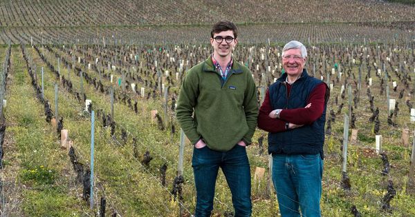 Ansonia Wines: How A Trip To Burgundy Turned Father And Son Into Wine Importers