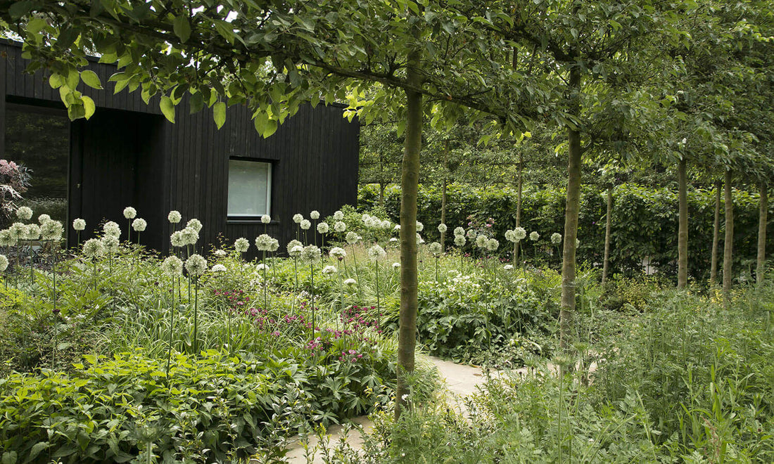 Gatehouse Garden: A Dramatic Black Backdrop for a White Wildflower Meadow