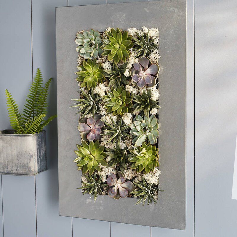 20 Modern Wall Planters That Would Look Great In Your Home Or Office