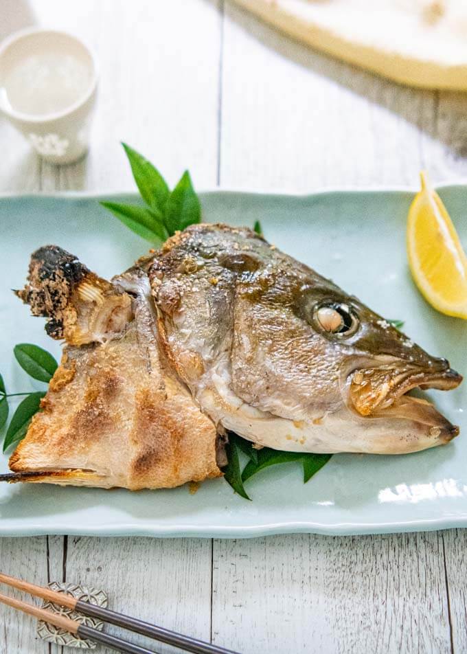 Grilled Kingfish Head (Kingfish Kabutoyaki) – Project Isabella