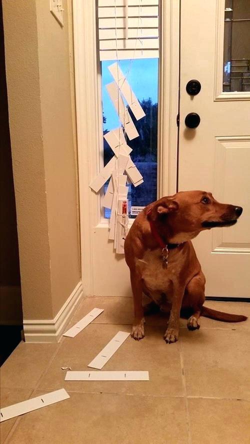 Fancy Door Protector Dog