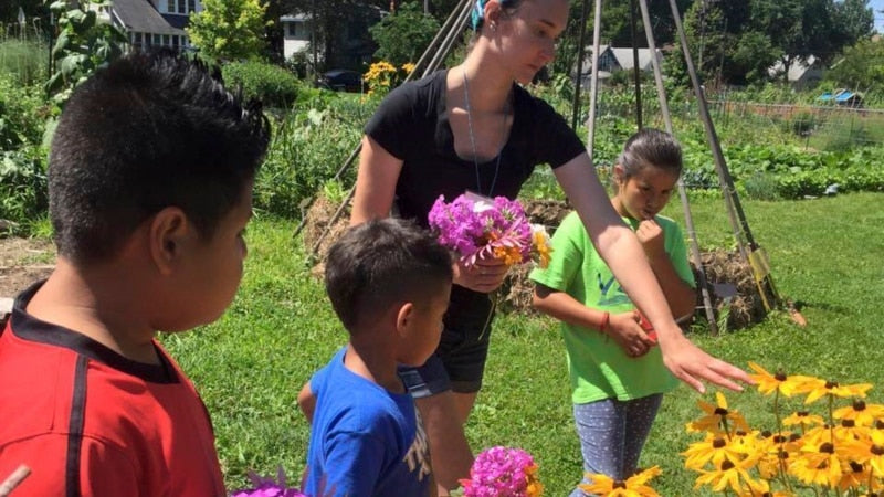 School Gardening Becomes More Popular in US