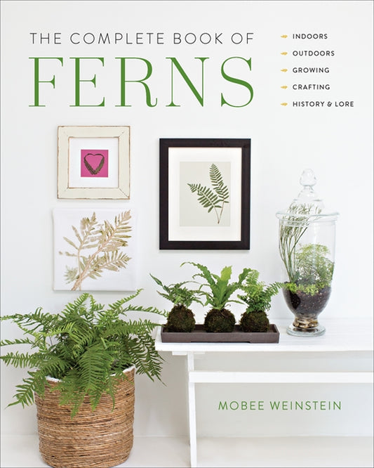 Everything you need to know about ferns, including drought-tolerant varieties