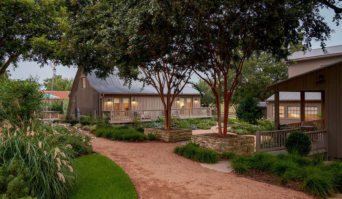 Four Austin Hotels Combine Luxury Hospitality with Distinct Designs