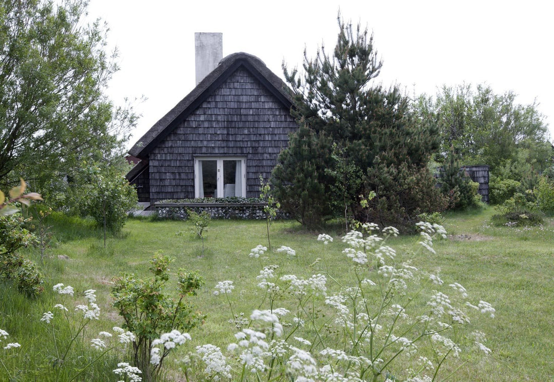 This Thatched Cottage in Denmark Is Surprisingly Sleek Inside