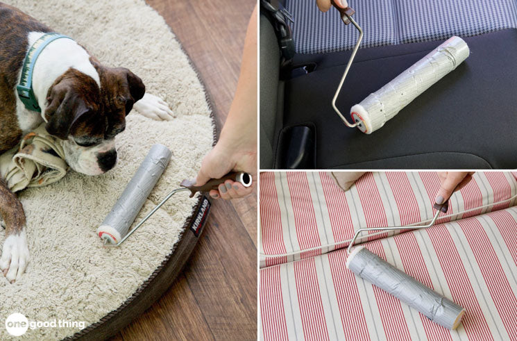 This DIY Lint Roller Is The Best Pet Hair Hack Ever